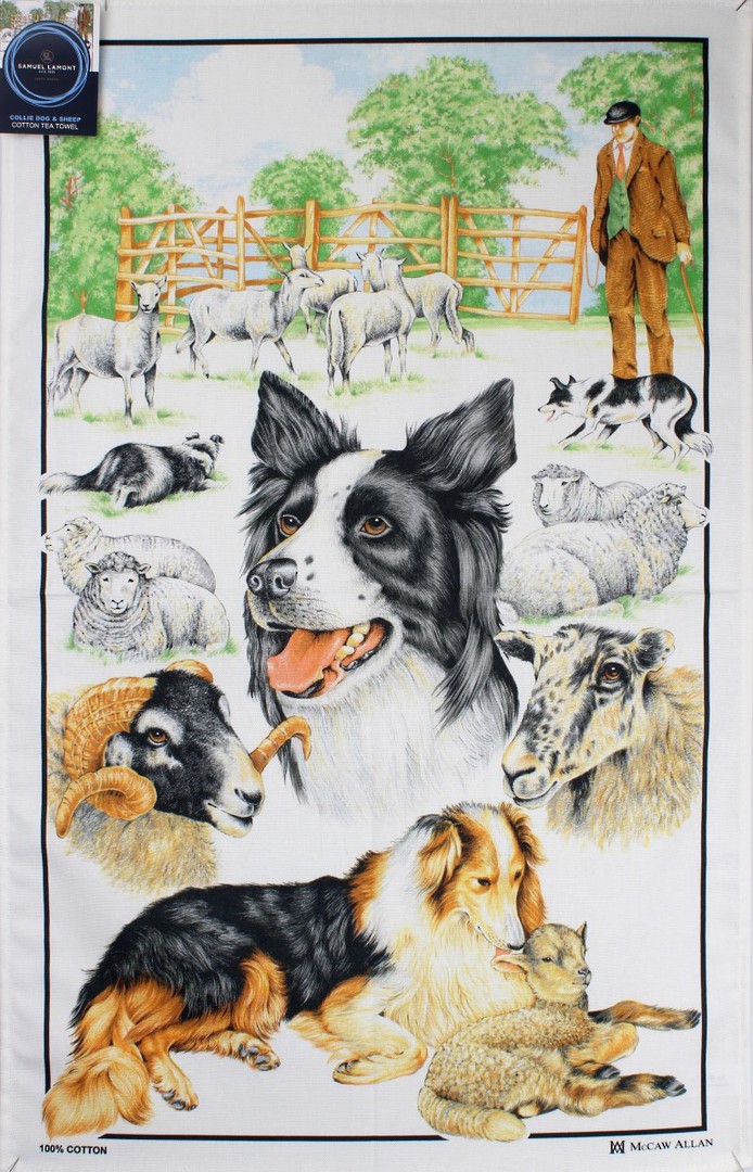 Samuel Lamont 'Collie dog & sheep' tea towel Code : TT-449 image 0